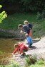 Bos activiteiten  